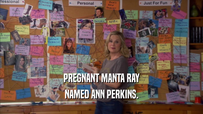 PREGNANT MANTA RAY NAMED ANN PERKINS. 