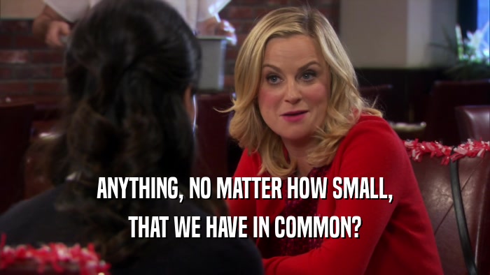 ANYTHING, NO MATTER HOW SMALL, THAT WE HAVE IN COMMON? 