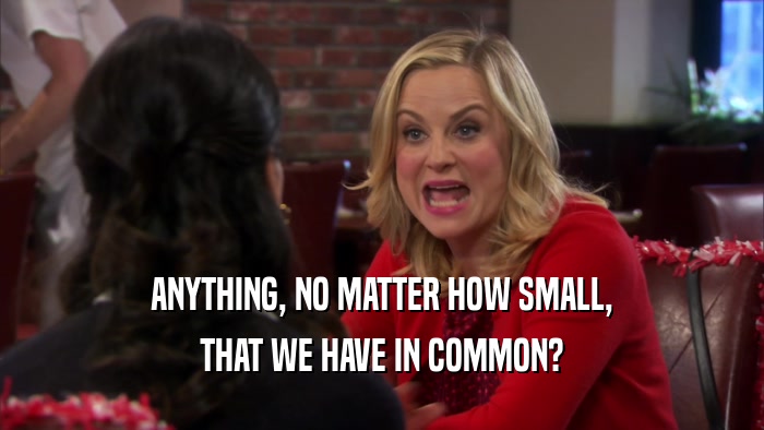 ANYTHING, NO MATTER HOW SMALL, THAT WE HAVE IN COMMON? 