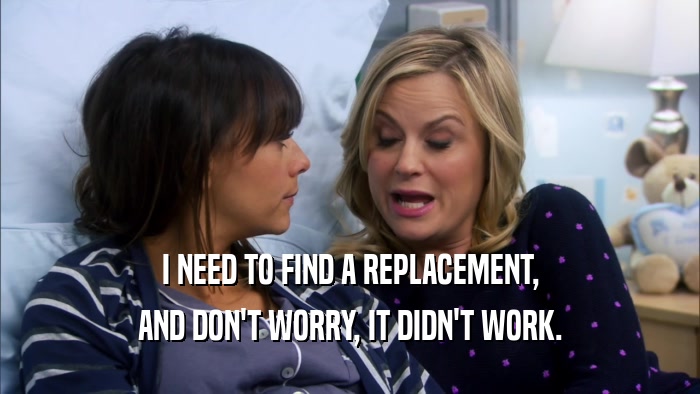 I NEED TO FIND A REPLACEMENT, AND DON'T WORRY, IT DIDN'T WORK. 
