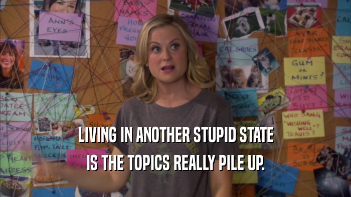 LIVING IN ANOTHER STUPID STATE IS THE TOPICS REALLY PILE UP. 