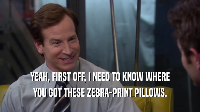 YEAH, FIRST OFF, I NEED TO KNOW WHERE YOU GOT THESE ZEBRA-PRINT PILLOWS. 