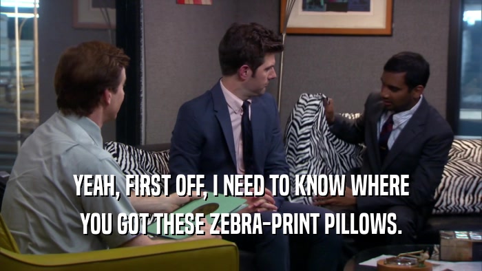 YEAH, FIRST OFF, I NEED TO KNOW WHERE YOU GOT THESE ZEBRA-PRINT PILLOWS. 