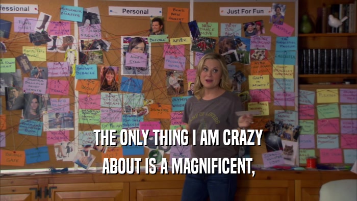 THE ONLY THING I AM CRAZY ABOUT IS A MAGNIFICENT, 