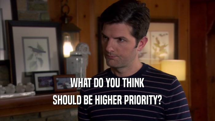 WHAT DO YOU THINK SHOULD BE HIGHER PRIORITY? 