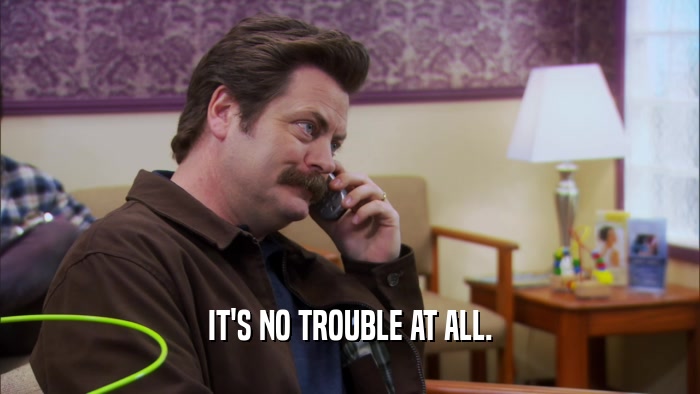 IT'S NO TROUBLE AT ALL.  