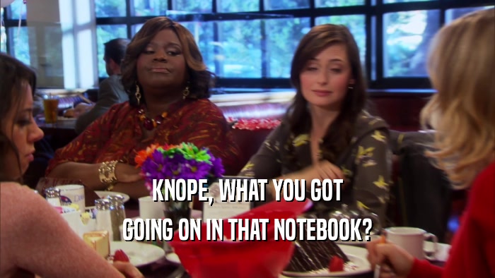 KNOPE, WHAT YOU GOT GOING ON IN THAT NOTEBOOK? 