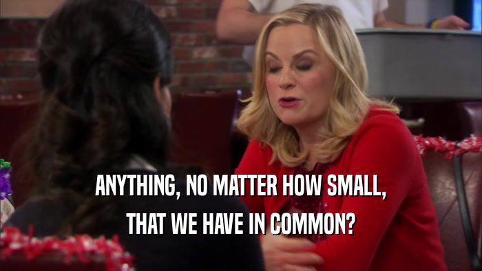 ANYTHING, NO MATTER HOW SMALL, THAT WE HAVE IN COMMON? 
