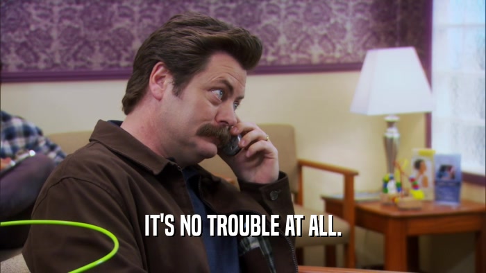 IT'S NO TROUBLE AT ALL.  