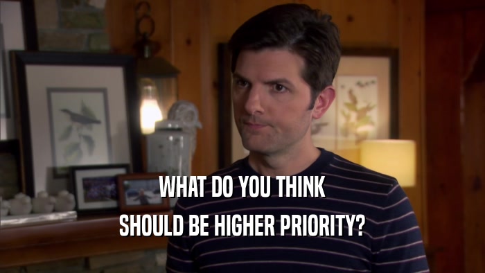 WHAT DO YOU THINK SHOULD BE HIGHER PRIORITY? 