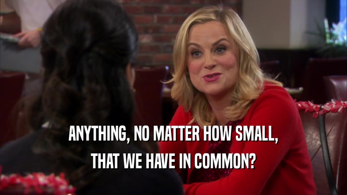 ANYTHING, NO MATTER HOW SMALL, THAT WE HAVE IN COMMON? 