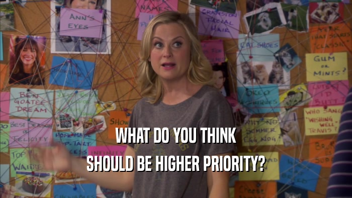 WHAT DO YOU THINK SHOULD BE HIGHER PRIORITY? 
