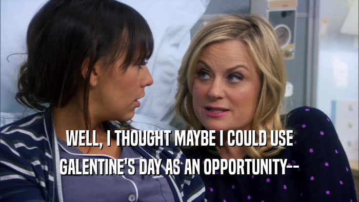 WELL, I THOUGHT MAYBE I COULD USE GALENTINE'S DAY AS AN OPPORTUNITY-- 