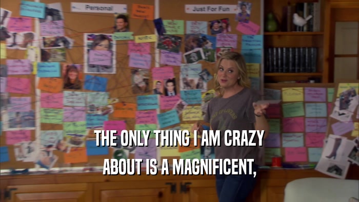 THE ONLY THING I AM CRAZY ABOUT IS A MAGNIFICENT, 