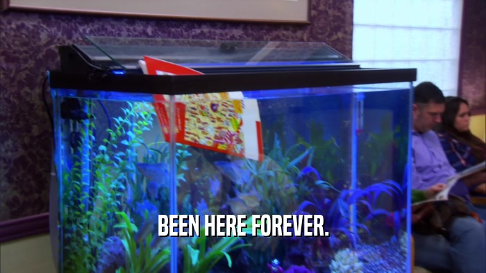 BEEN HERE FOREVER.  