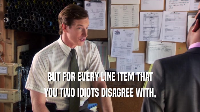 BUT FOR EVERY LINE ITEM THAT YOU TWO IDIOTS DISAGREE WITH, 