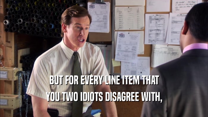BUT FOR EVERY LINE ITEM THAT YOU TWO IDIOTS DISAGREE WITH, 
