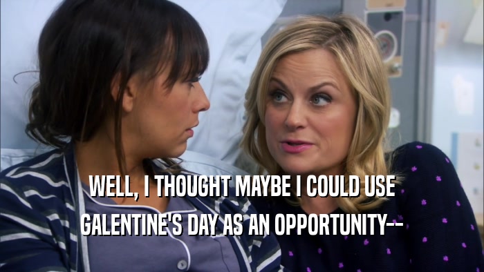 WELL, I THOUGHT MAYBE I COULD USE GALENTINE'S DAY AS AN OPPORTUNITY-- 