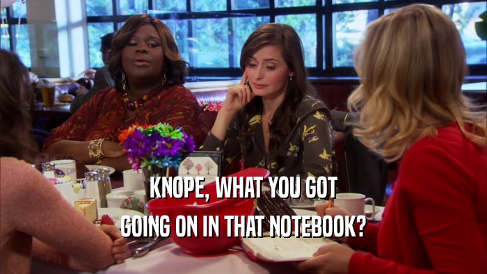 KNOPE, WHAT YOU GOT GOING ON IN THAT NOTEBOOK? 