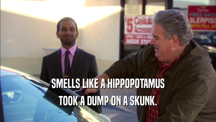 SMELLS LIKE A HIPPOPOTAMUS TOOK A DUMP ON A SKUNK. 