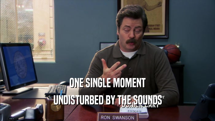 ONE SINGLE MOMENT UNDISTURBED BY THE SOUNDS 