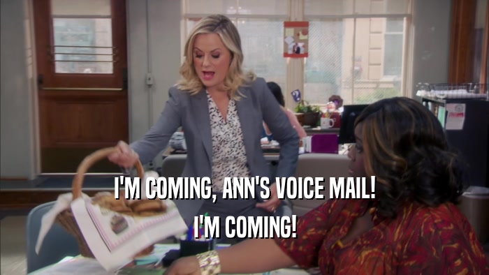 I'M COMING, ANN'S VOICE MAIL! I'M COMING! 