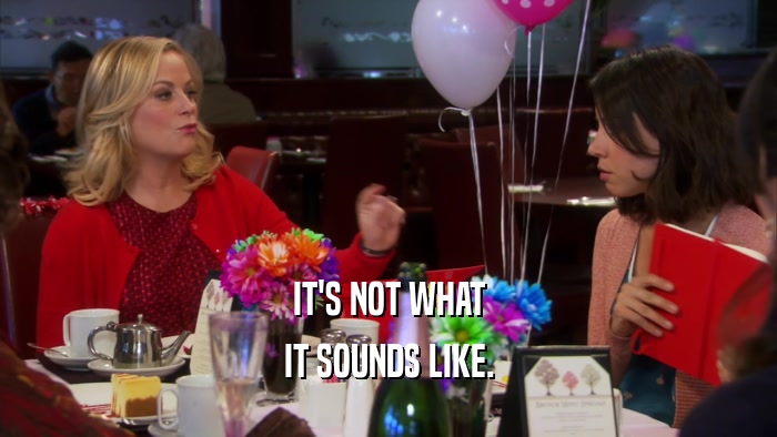 IT'S NOT WHAT IT SOUNDS LIKE. 