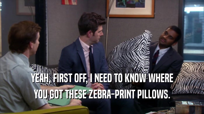 YEAH, FIRST OFF, I NEED TO KNOW WHERE YOU GOT THESE ZEBRA-PRINT PILLOWS. 