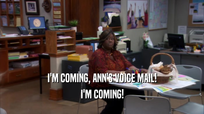 I'M COMING, ANN'S VOICE MAIL! I'M COMING! 