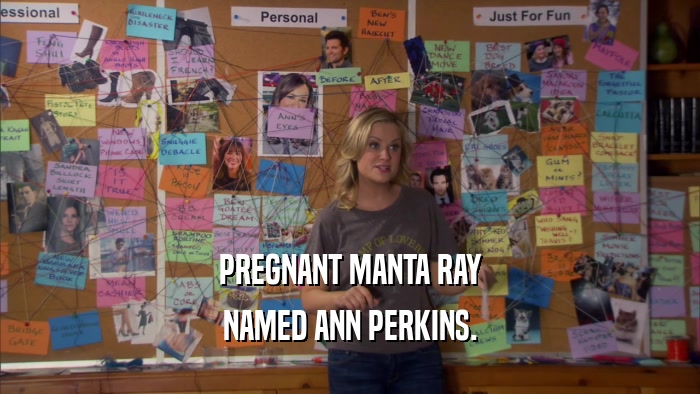 PREGNANT MANTA RAY NAMED ANN PERKINS. 