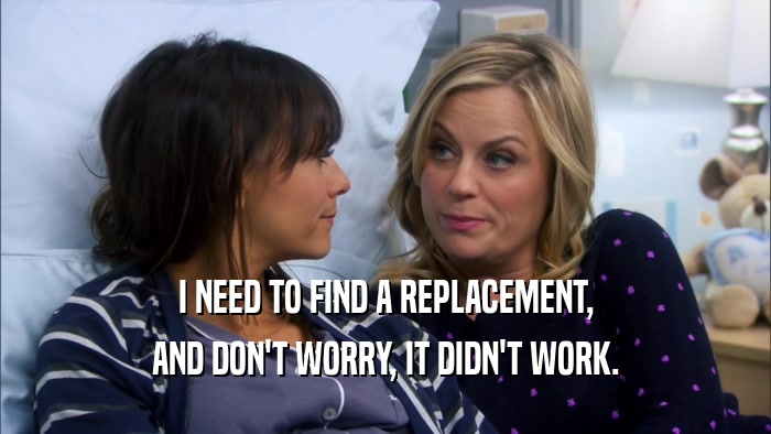 I NEED TO FIND A REPLACEMENT, AND DON'T WORRY, IT DIDN'T WORK. 