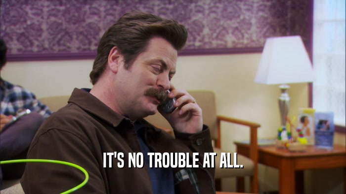 IT'S NO TROUBLE AT ALL.  
