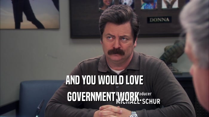 AND YOU WOULD LOVE GOVERNMENT WORK. 