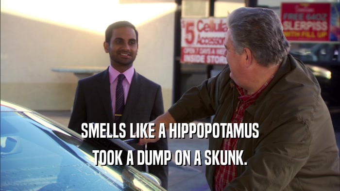 SMELLS LIKE A HIPPOPOTAMUS TOOK A DUMP ON A SKUNK. 