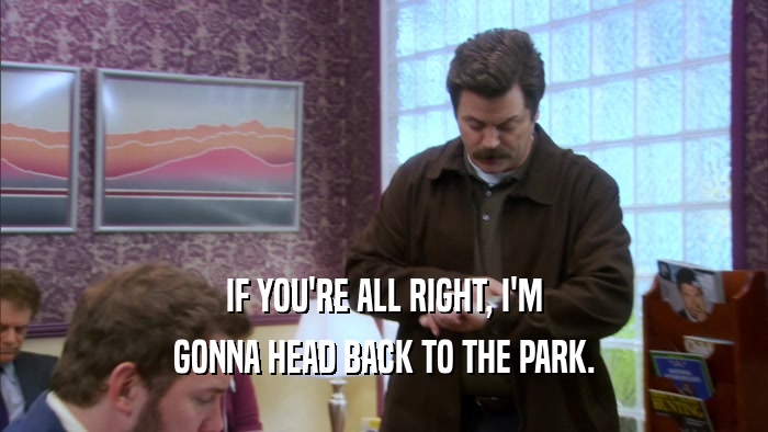 IF YOU'RE ALL RIGHT, I'M GONNA HEAD BACK TO THE PARK. 