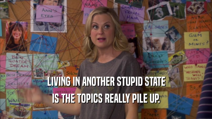 LIVING IN ANOTHER STUPID STATE IS THE TOPICS REALLY PILE UP. 
