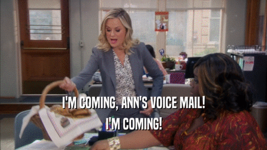 I'M COMING, ANN'S VOICE MAIL! I'M COMING! 