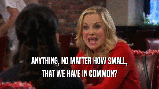 ANYTHING, NO MATTER HOW SMALL, THAT WE HAVE IN COMMON? 