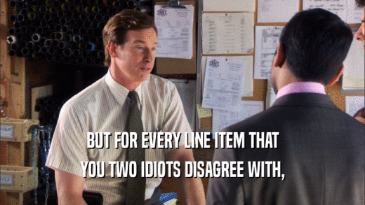 BUT FOR EVERY LINE ITEM THAT YOU TWO IDIOTS DISAGREE WITH, 