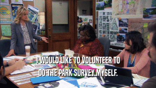 I WOULD LIKE TO VOLUNTEER TO DO THE PARK SURVEY MYSELF. 