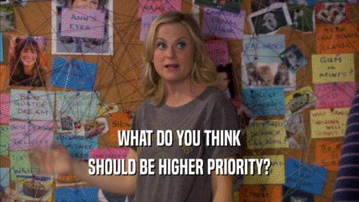 WHAT DO YOU THINK SHOULD BE HIGHER PRIORITY? 