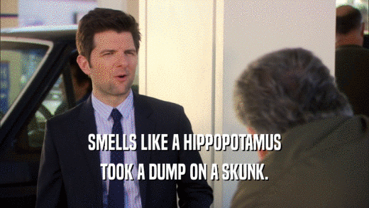 SMELLS LIKE A HIPPOPOTAMUS TOOK A DUMP ON A SKUNK. 