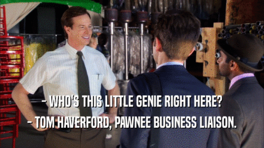 - WHO'S THIS LITTLE GENIE RIGHT HERE? - TOM HAVERFORD, PAWNEE BUSINESS LIAISON. 
