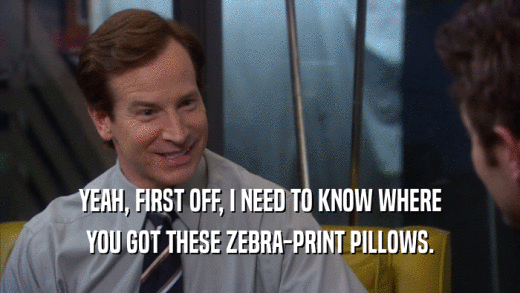 YEAH, FIRST OFF, I NEED TO KNOW WHERE YOU GOT THESE ZEBRA-PRINT PILLOWS. 