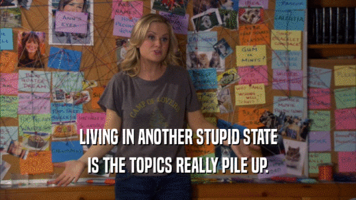 LIVING IN ANOTHER STUPID STATE IS THE TOPICS REALLY PILE UP. 