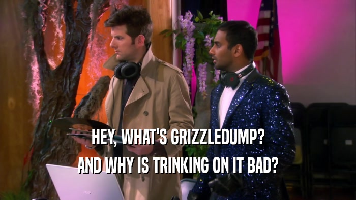 HEY, WHAT'S GRIZZLEDUMP?
 AND WHY IS TRINKING ON IT BAD?
 