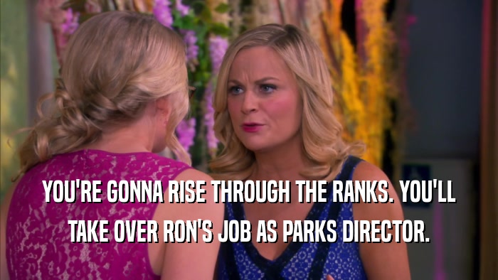 YOU'RE GONNA RISE THROUGH THE RANKS. YOU'LL TAKE OVER RON'S JOB AS PARKS DIRECTOR. 