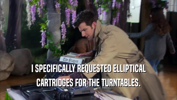 I SPECIFICALLY REQUESTED ELLIPTICAL CARTRIDGES FOR THE TURNTABLES. 