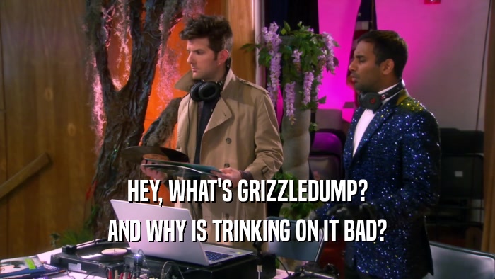 HEY, WHAT'S GRIZZLEDUMP?
 AND WHY IS TRINKING ON IT BAD?
 