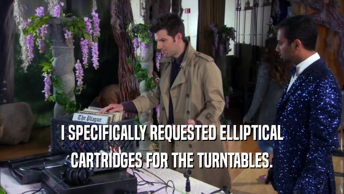 I SPECIFICALLY REQUESTED ELLIPTICAL CARTRIDGES FOR THE TURNTABLES. 